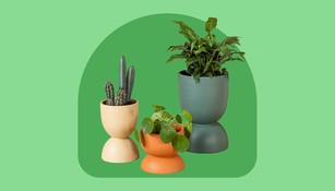 indoor-plant-pots-and-planters-hero