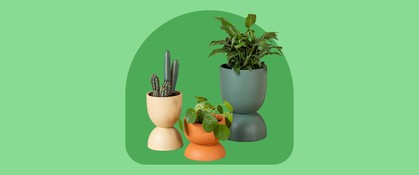 indoor-plant-pots-and-planters-hero