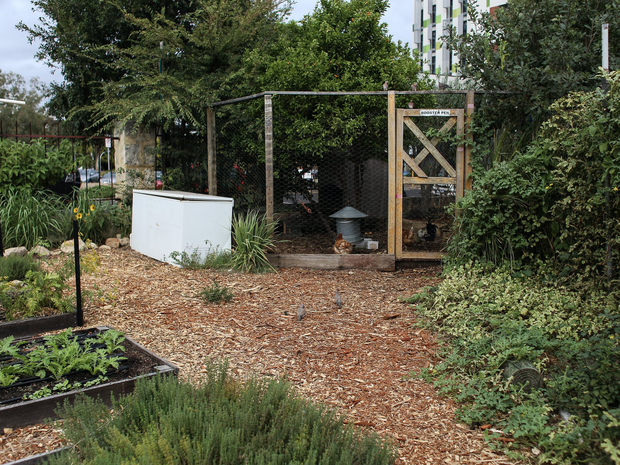 A garden fit for composting.