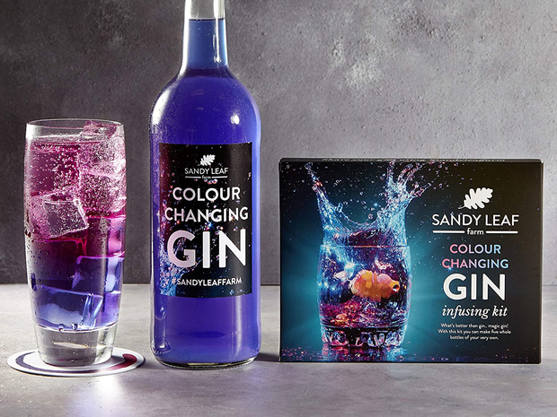cool-things-to-buy-at-amazon-colour-changning-gin-kit_1.png
