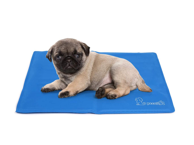 cool-things-to-buy-at-amazon-pet-cooling-mat