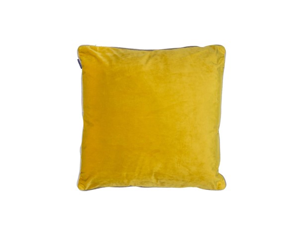 Meridian Silk Velvet Cushion from The Range