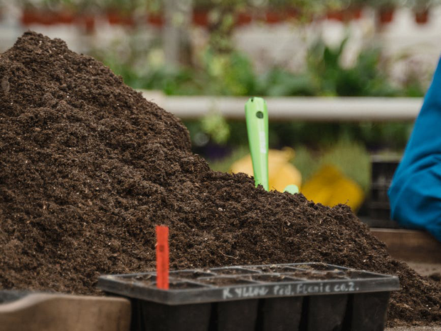 the-best-places-to-buy-compost-best-buys