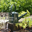 personalized green watering can 